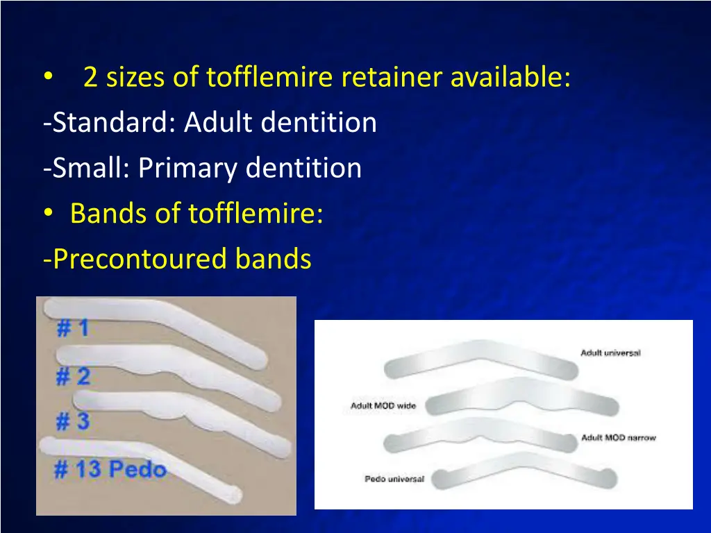 standard adult dentition small primary dentition