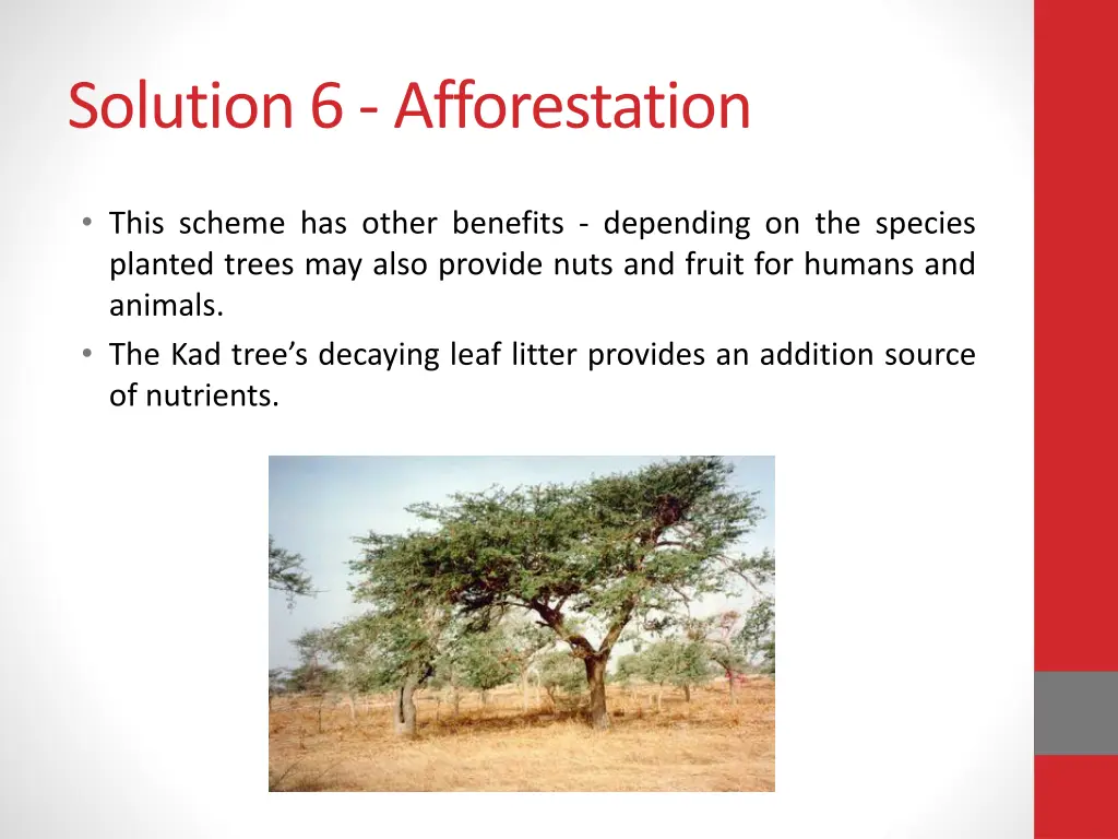 solution 6 afforestation 1