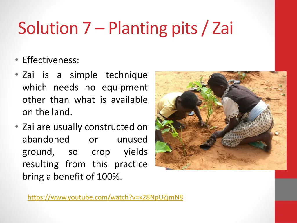 solution 7 planting pits zai 1