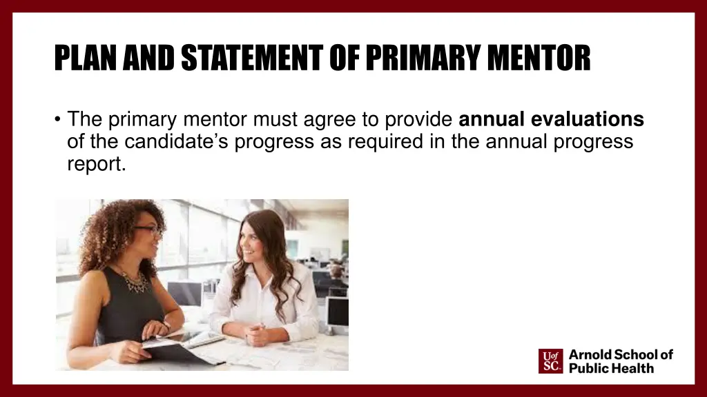 plan and statement of primary mentor 2