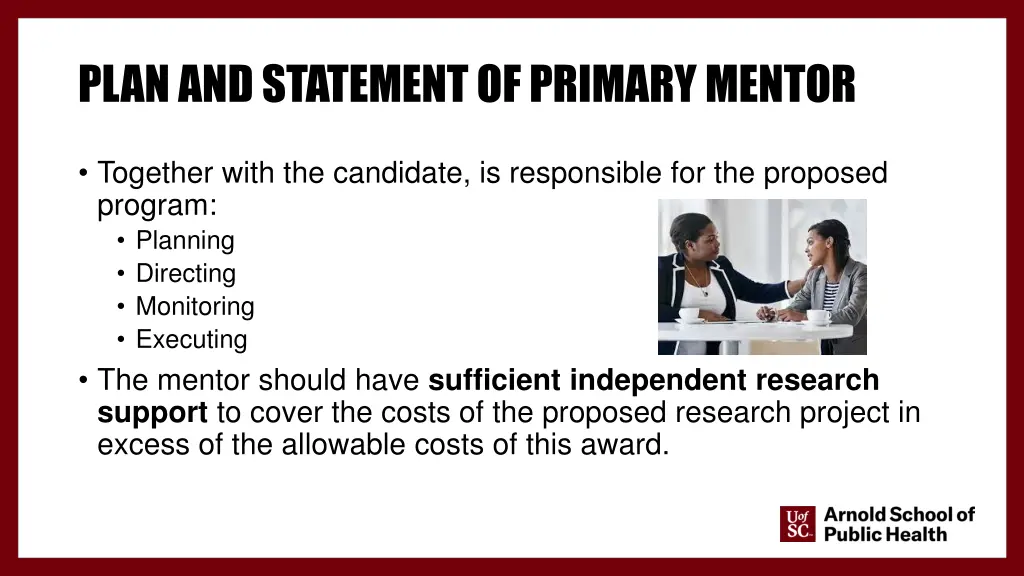 plan and statement of primary mentor