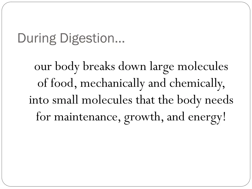 during digestion