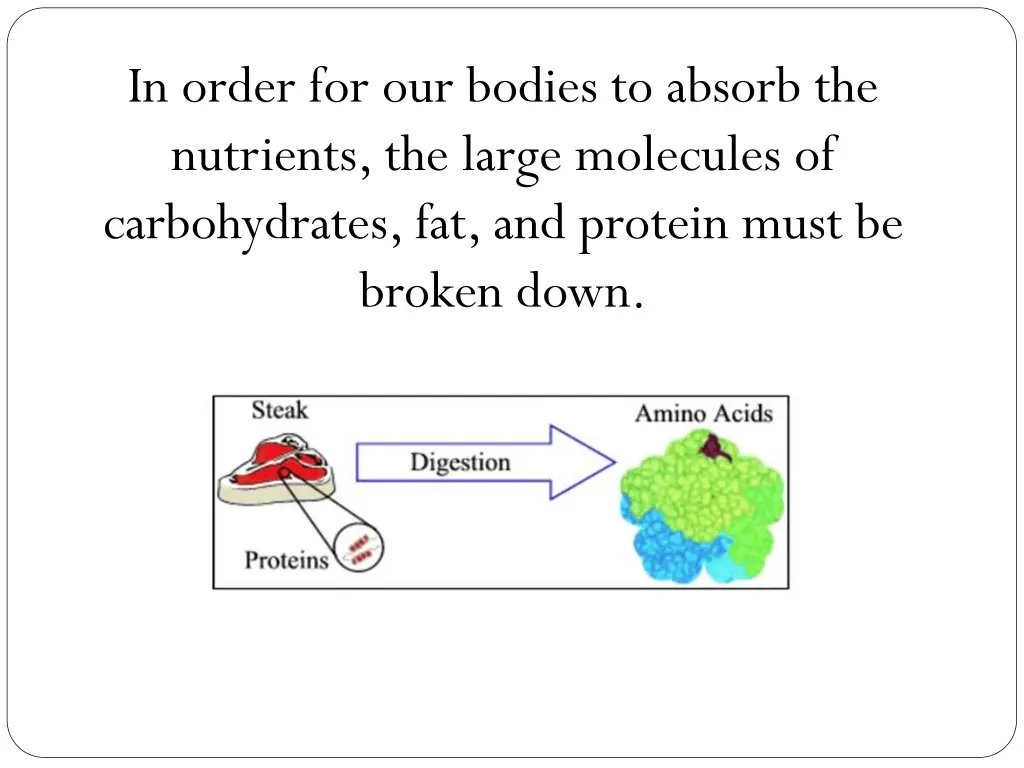 in order for our bodies to absorb the nutrients