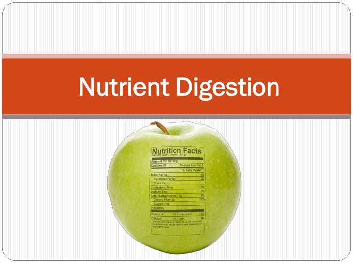 nutrient digestion nutrient digestion