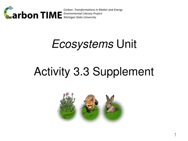 carbon transformations in matter and energy