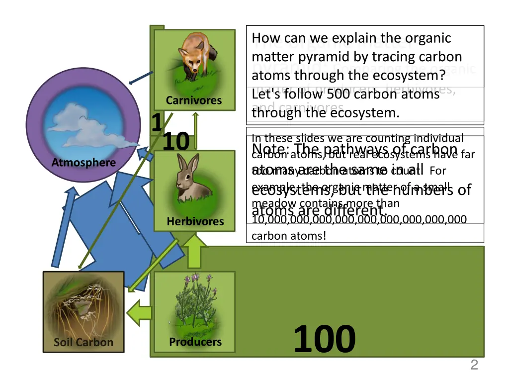 how can we explain the organic matter pyramid