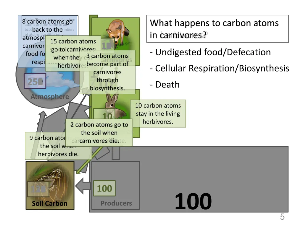 note the pathways of carbon atoms are the same 1