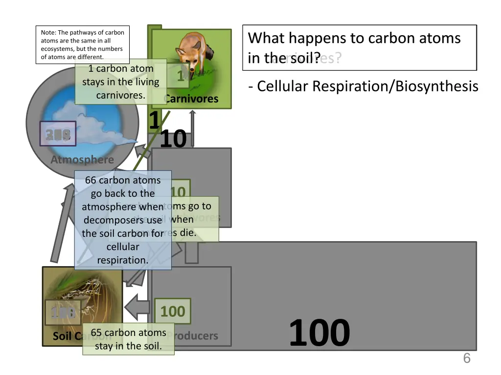 note the pathways of carbon atoms are the same 2