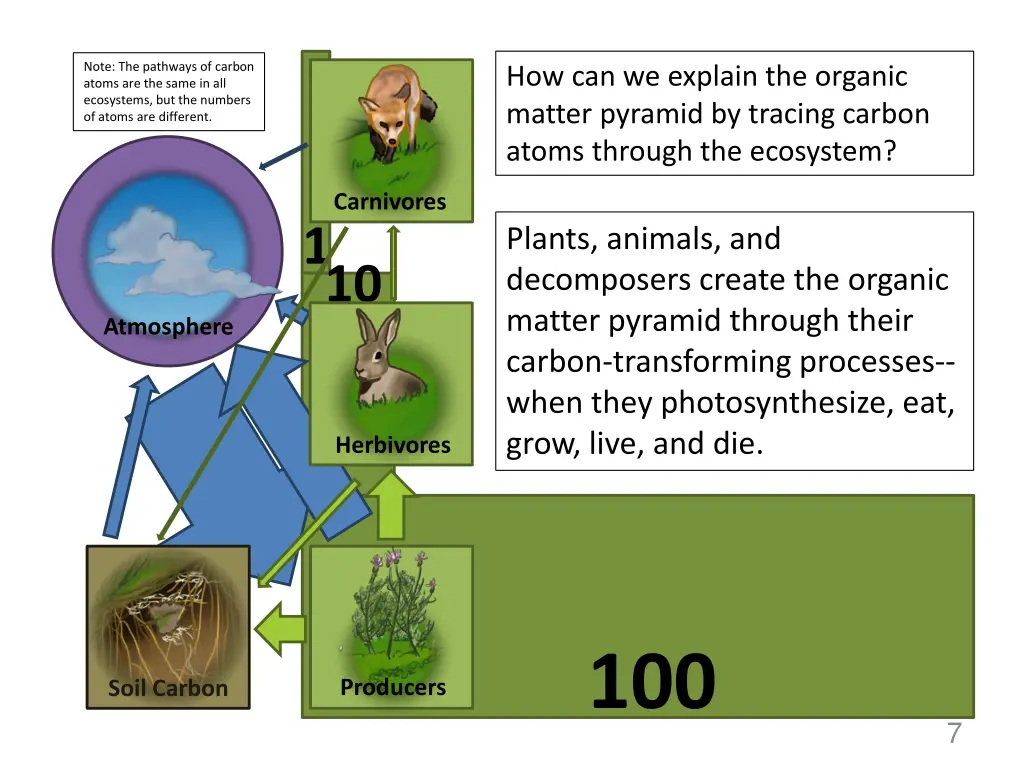 note the pathways of carbon atoms are the same 3