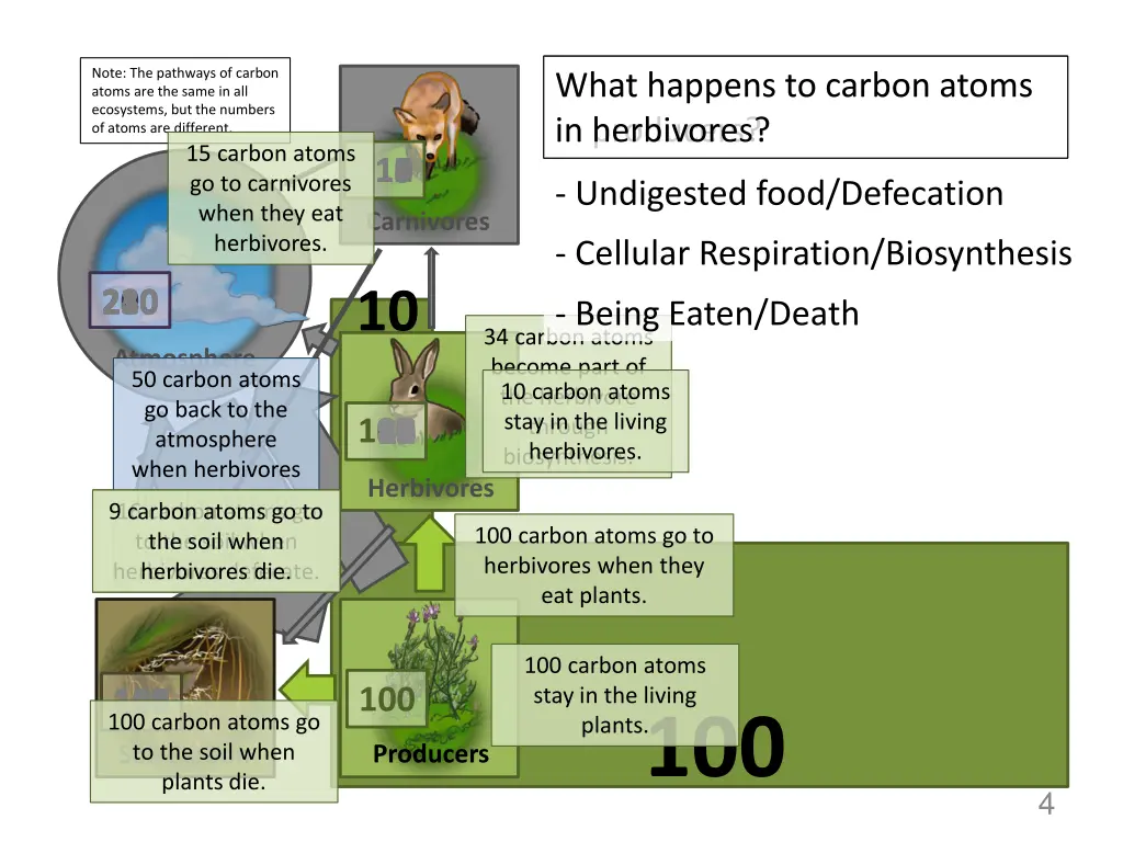 note the pathways of carbon atoms are the same