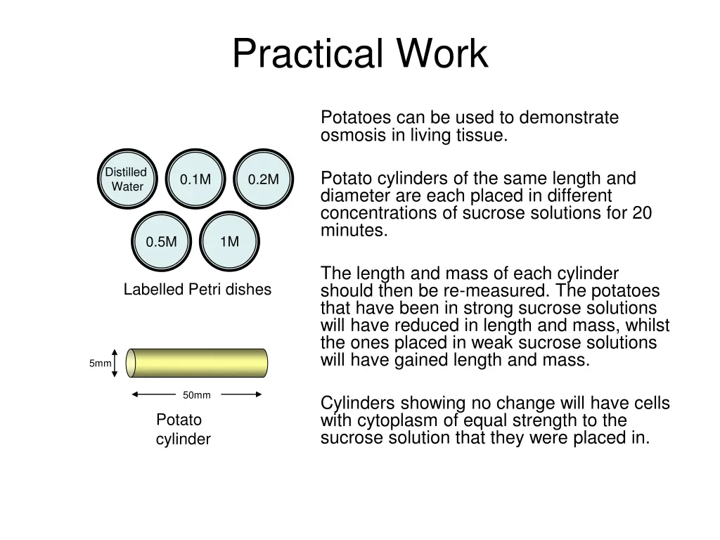 practical work 1