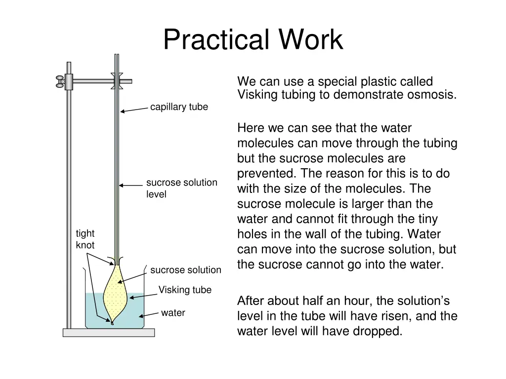 practical work