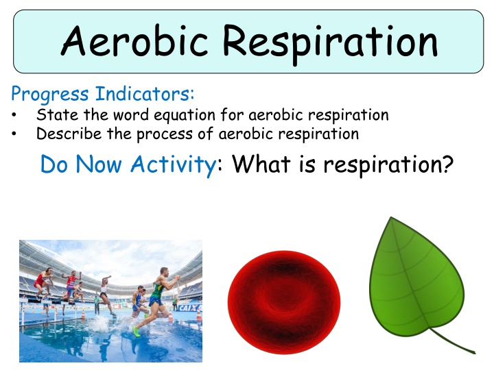 aerobic respiration