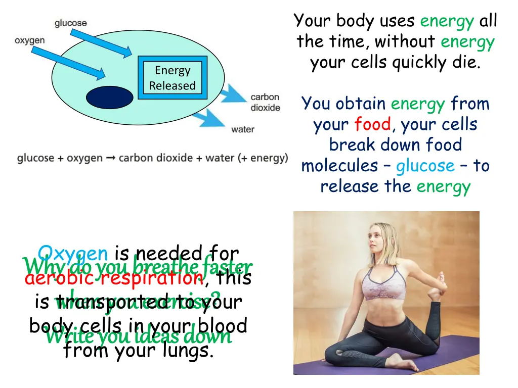 your body uses energy all the time without energy