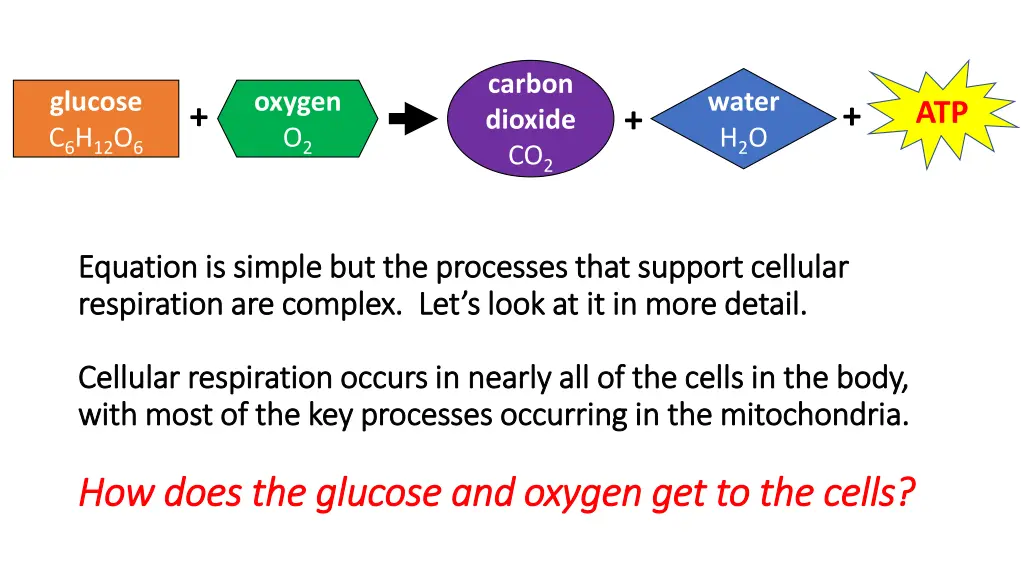 carbon dioxide co 2