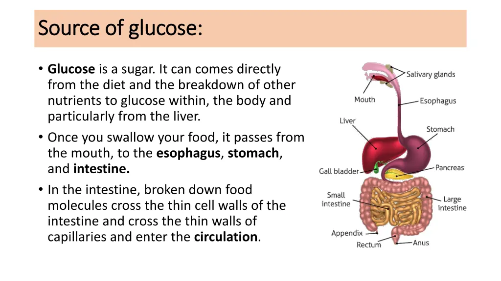 source of glucose source of glucose