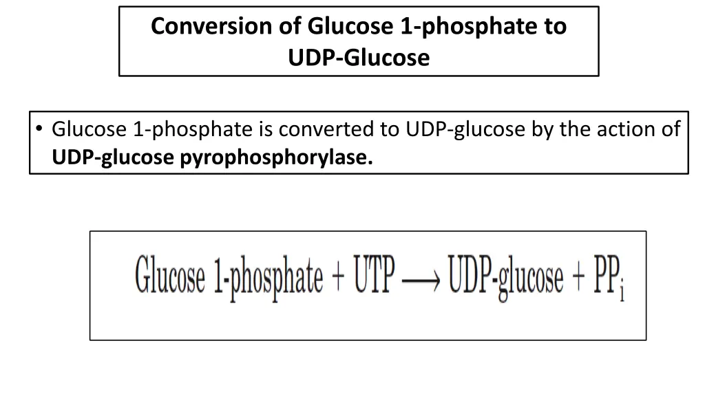 conversion of glucose 1 phosphate to udp glucose