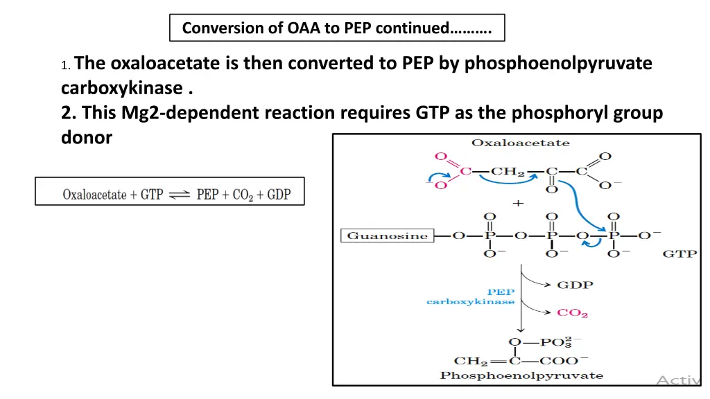 conversion of oaa to pep continued