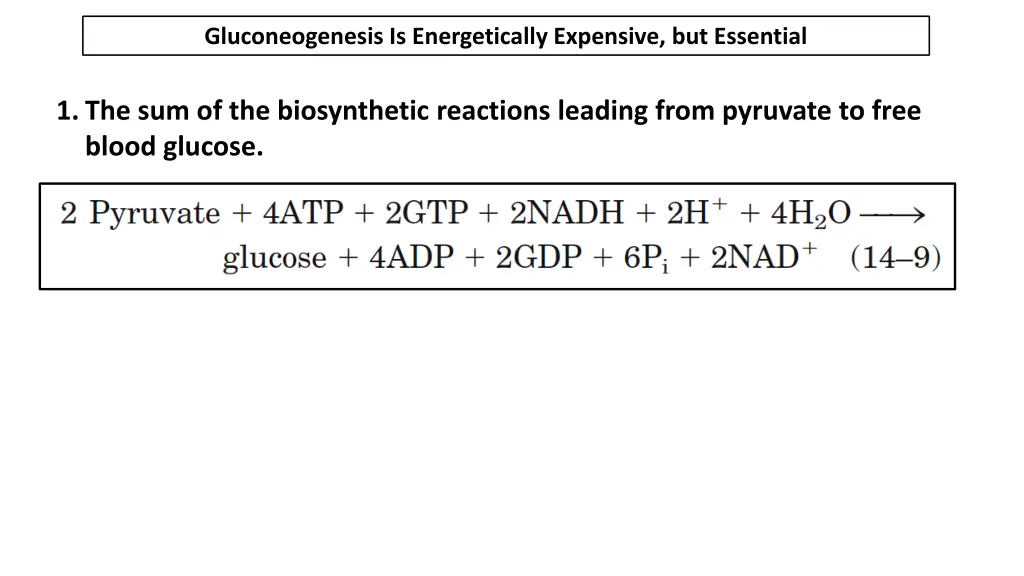 gluconeogenesis is energetically expensive