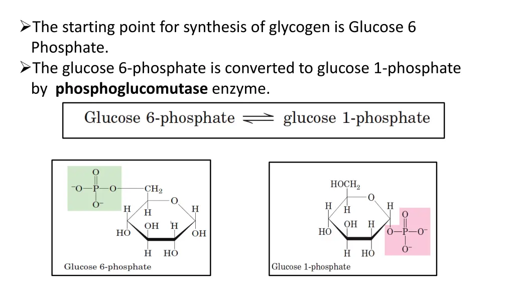 the starting point for synthesis of glycogen