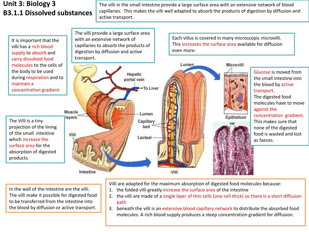 unit 3 biology 3 b3 1 1 dissolved substances