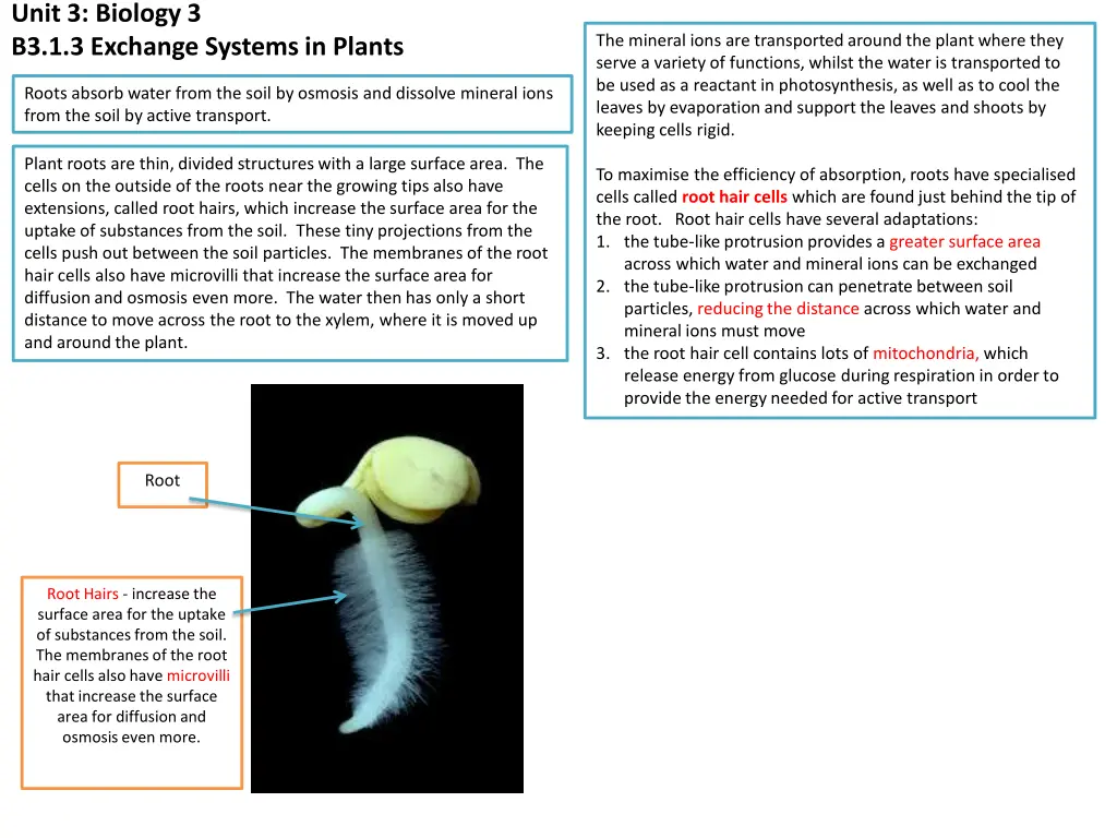 unit 3 biology 3 b3 1 3 exchange systems in plants 1