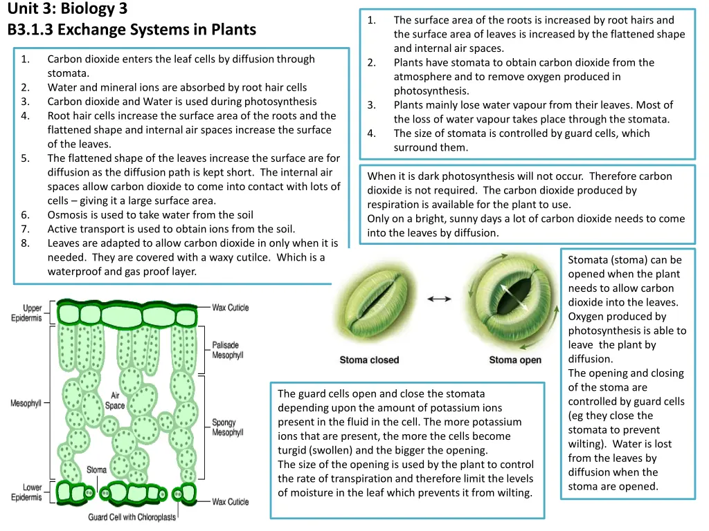 unit 3 biology 3 b3 1 3 exchange systems in plants