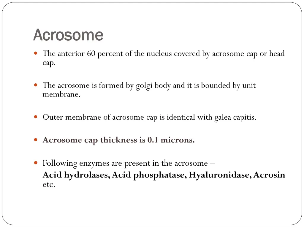 acrosome acrosome