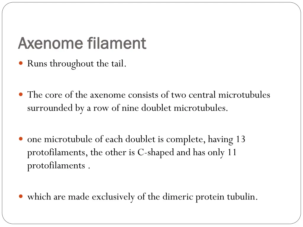 axenome axenome filament