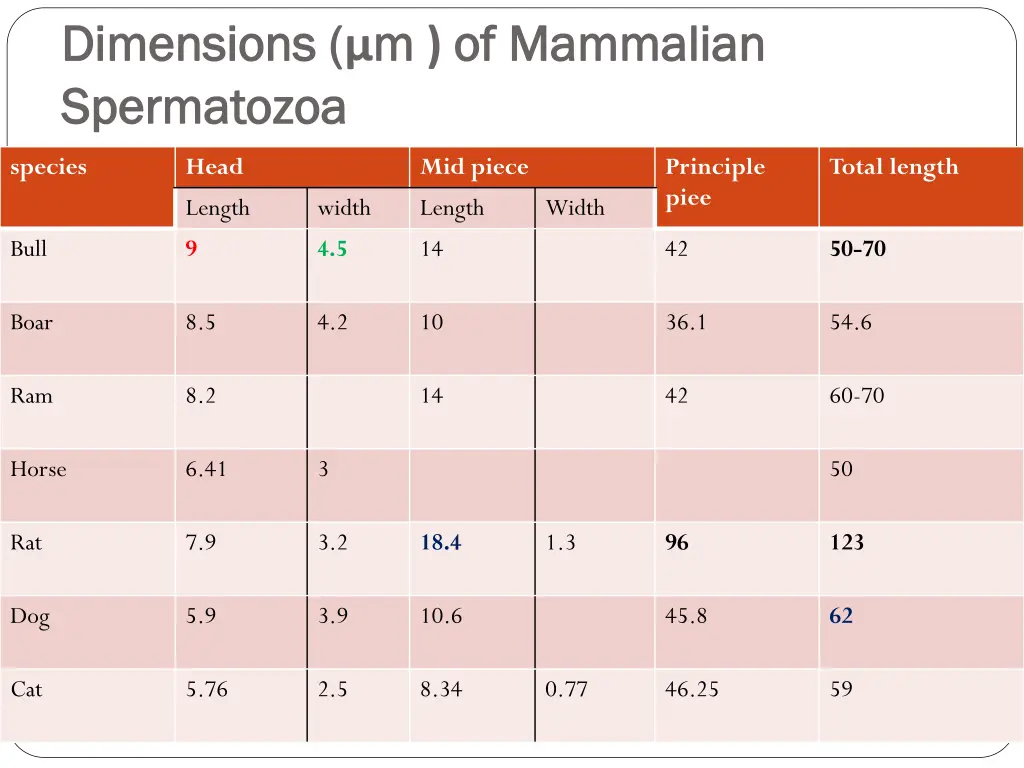 dimensions dimensions m m of mammalian