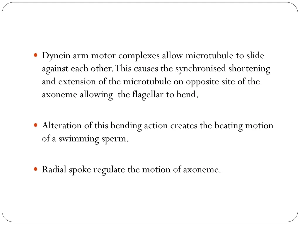 dynein arm motor complexes allow microtubule