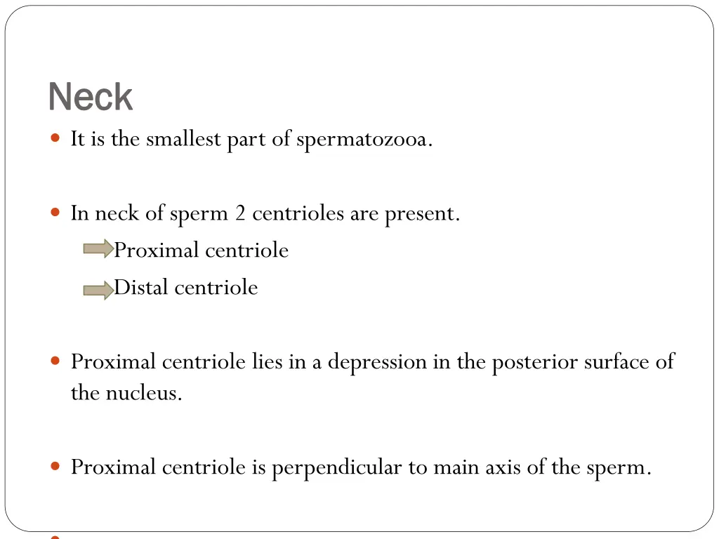 neck neck it is the smallest part of spermatozooa