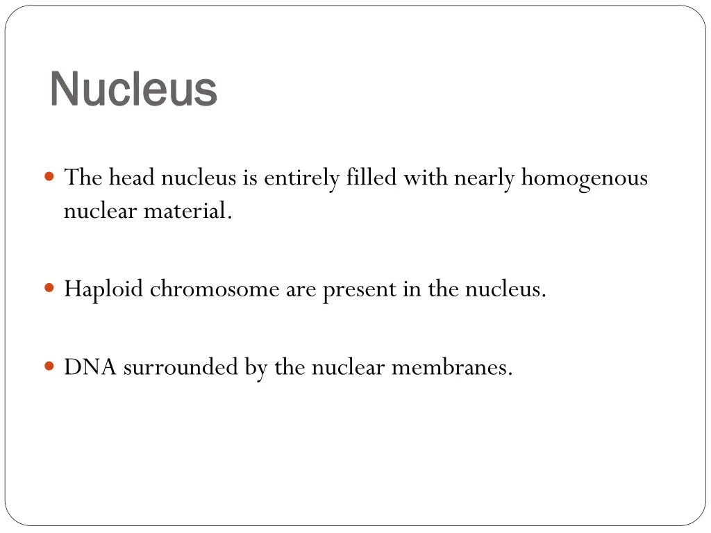 nucleus nucleus