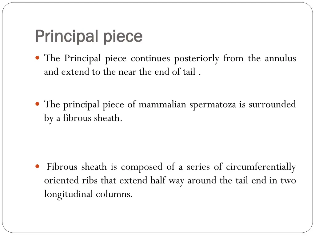 principal piece principal piece