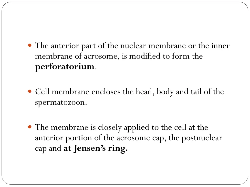 the anterior part of the nuclear membrane