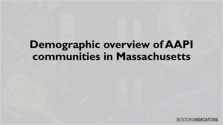 demographic overview of aapi communities