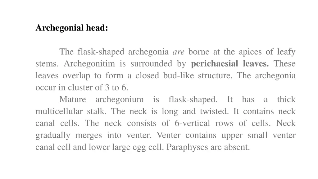 archegonial head