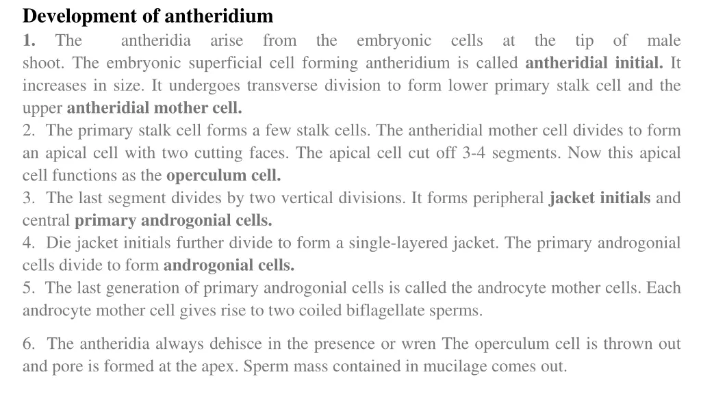 development of antheridium 1 the antheridia arise