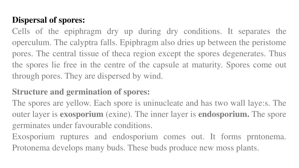 dispersal of spores cells of the epiphragm