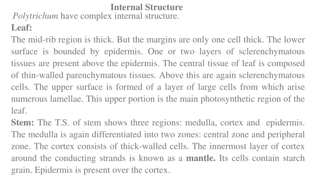 internal structure