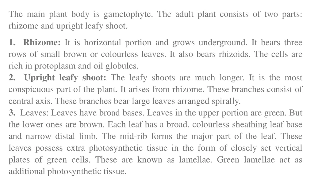 the main plant body is gametophyte the adult