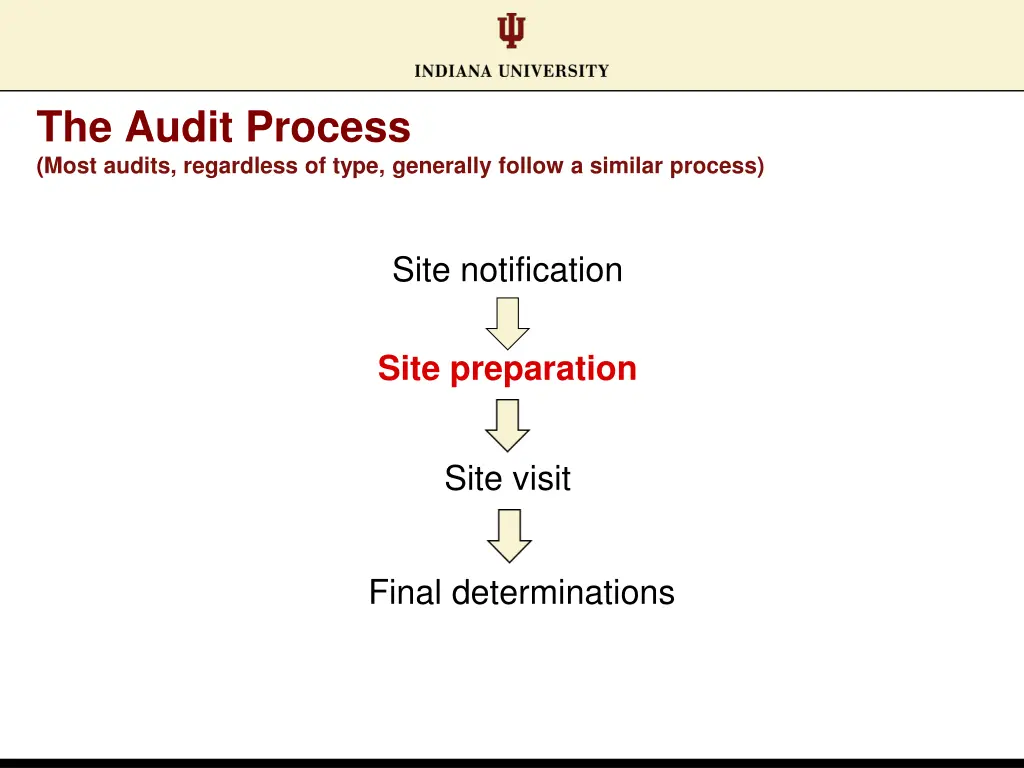 the audit process most audits regardless of type