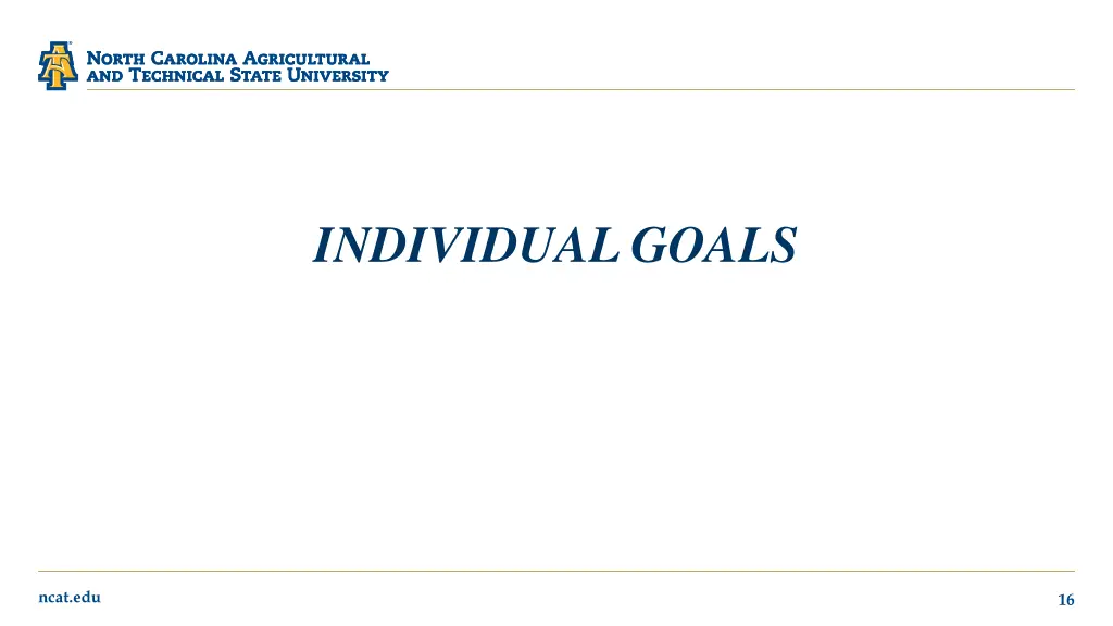 individual goals