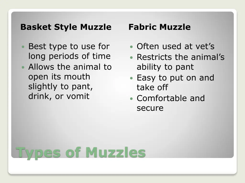 basket style muzzle