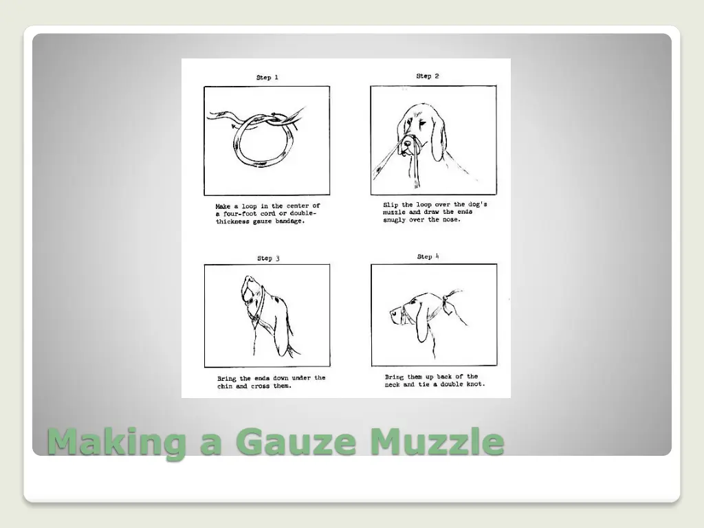 making a gauze muzzle