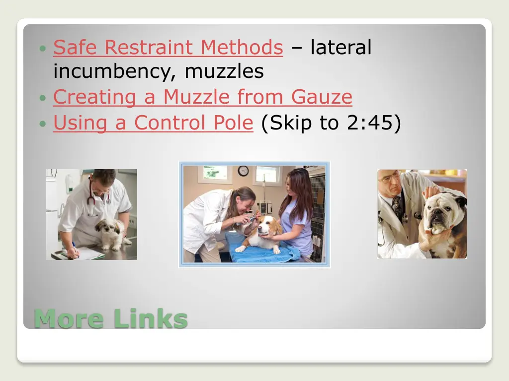 safe restraint methods lateral incumbency muzzles