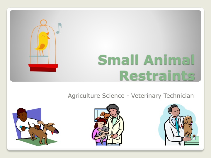 small animal restraints