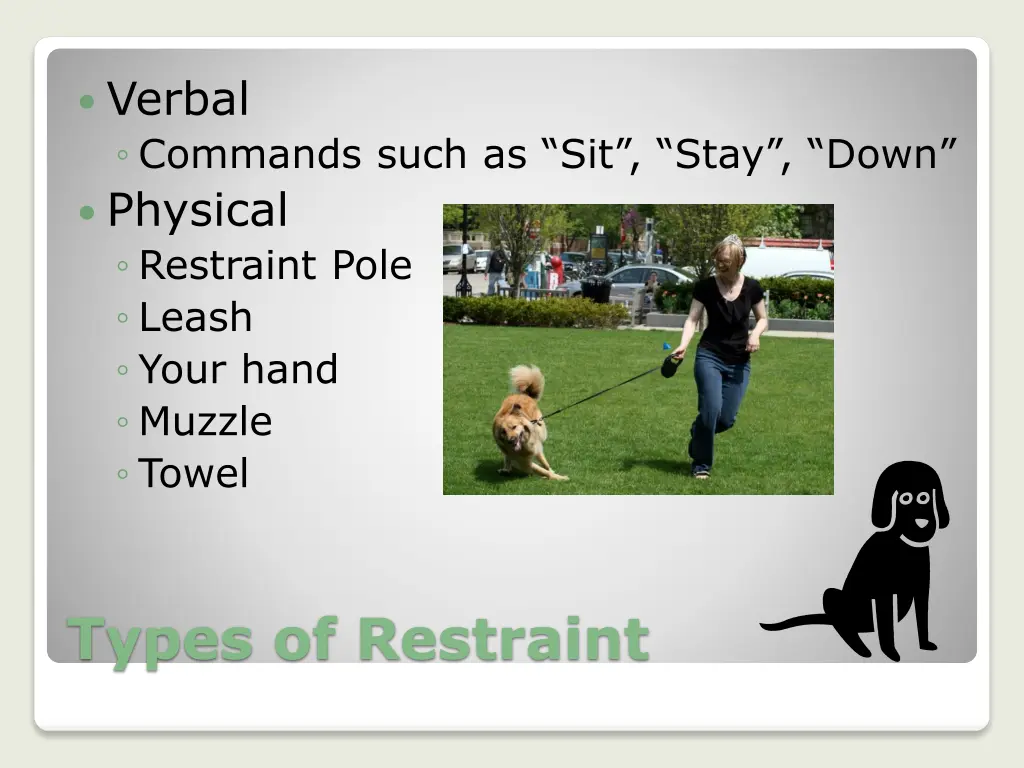 verbal commands such as sit stay down physical