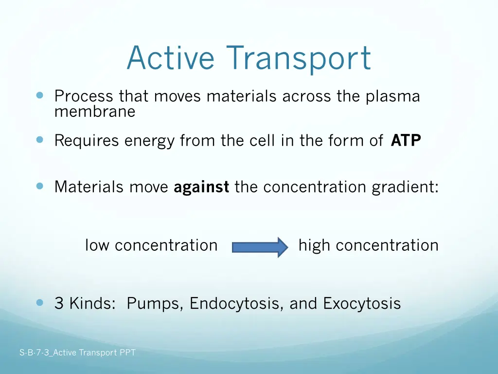 active transport 1