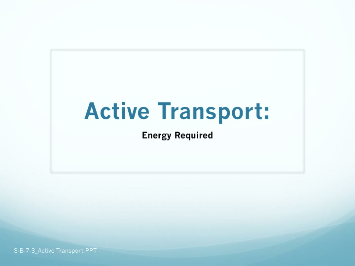 active transport